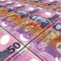 nz currency lawfuel