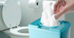 Flushable wipes