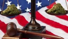 IRS Left Out of Pocket By Lobbyist With Illegal Marijuana Income