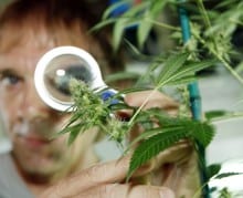 Drugs research