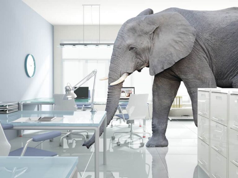 Elephant in Office.jpg image1024x768