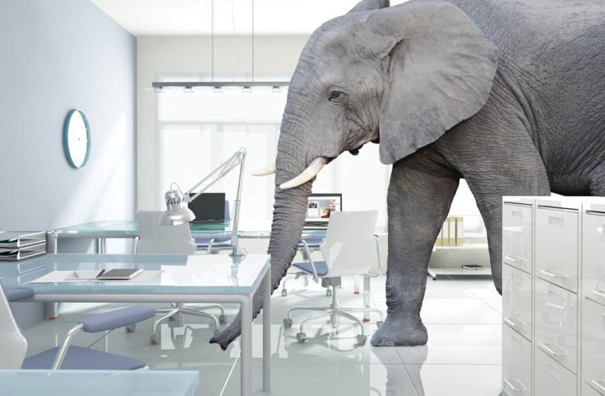 The Elephant in Big Law’s Room – And What Younger Lawyers Are Looking For in a Law Firm Today