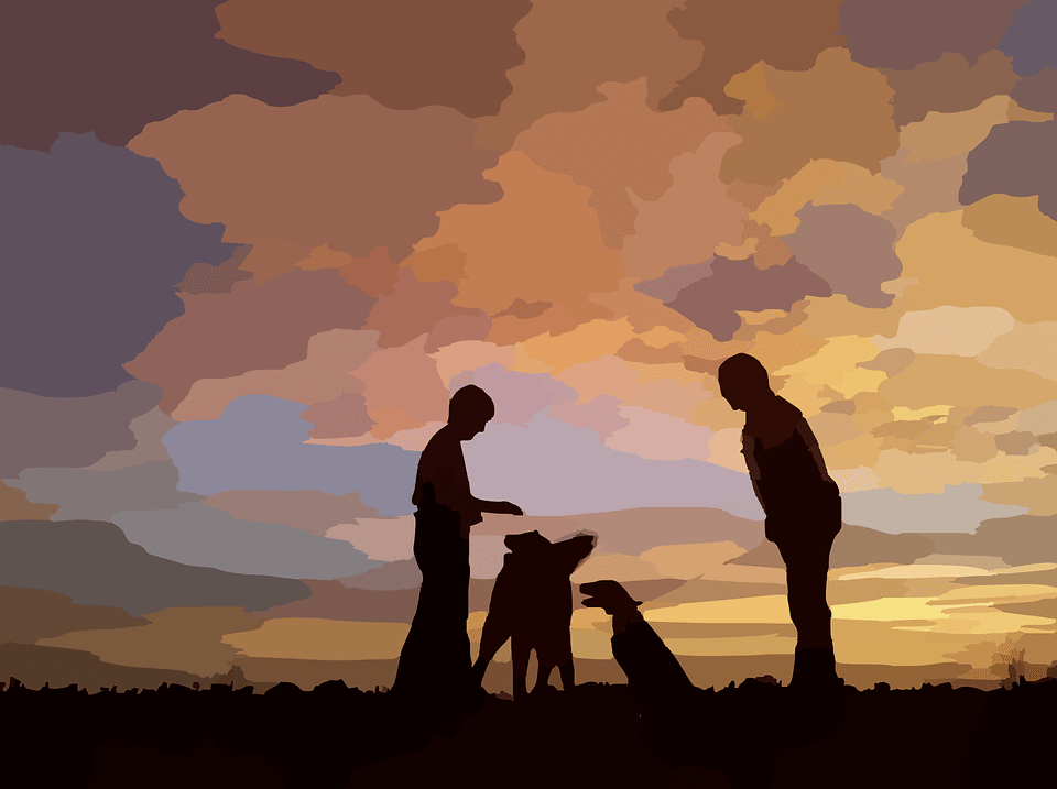Dogs