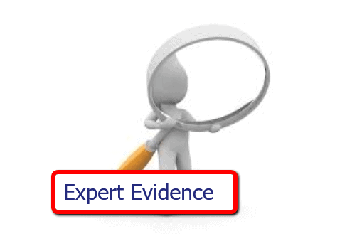 Using Expert Witnesses to Improve Your Mediation Success