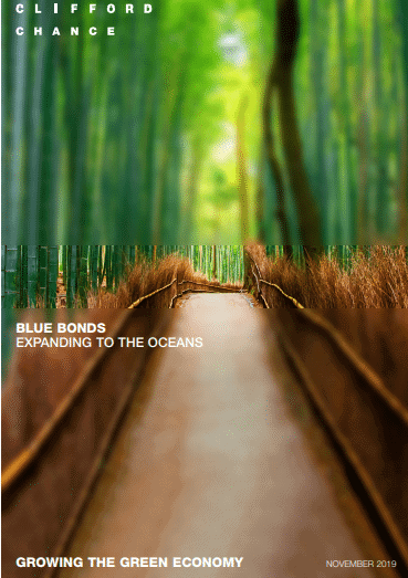 Green Economy Issues - Protecting the Oceans: Clifford Chance on The Expanding Role of 'Blue Bonds' 2