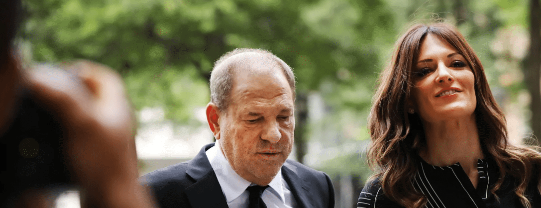 The Harvey Weinstein Case: Harvey Weinstein's Anti-Metoo Lady Lawyer (And 5 Things You Should Know) . . Updated 4