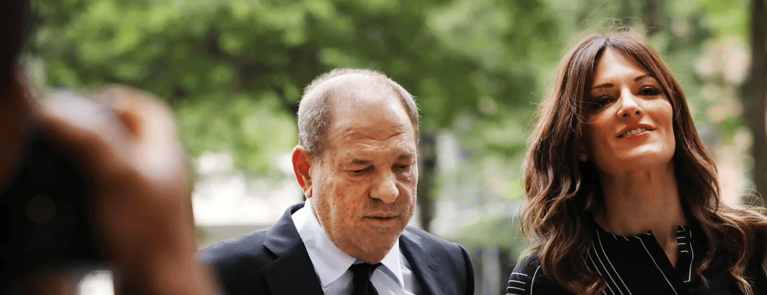 The Harvey Weinstein Case: Harvey Weinstein's Anti-Metoo Lady Lawyer (And 5 Things You Should Know) . . Updated