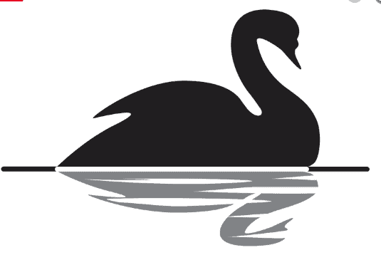 Law Firm Crisis Management After The COVID Crisis 'Black Swan Event