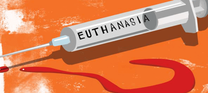 Confusion Reigns Over Euthanasia Law For New Zealanders 2