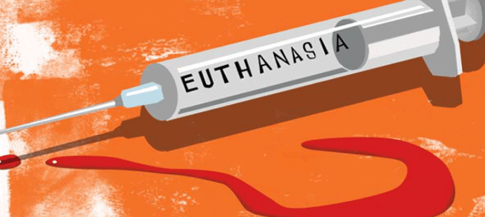 Confusion Reigns Over Euthanasia Law For New Zealanders