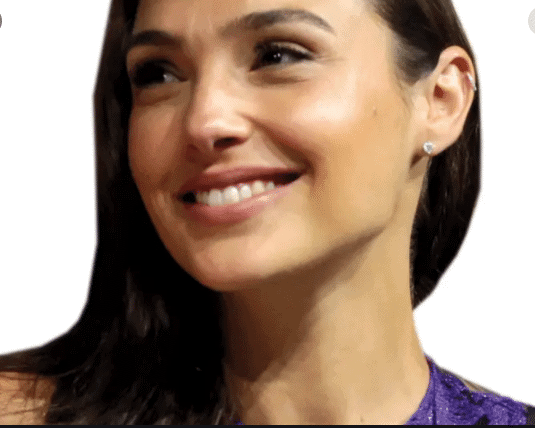 Galgadot lawfuelcelebritieslist