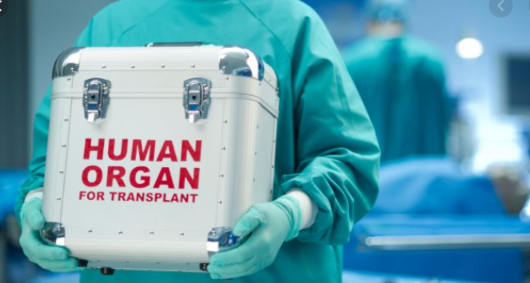 organ harvesting