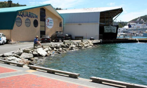 Marlborough Tourist Venue Owner Seeks Legal Advice Over Proposed Termination of Lease - "It's gut wrenching. I am numb", Says Owner 2