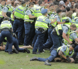 NZ law parliament protest