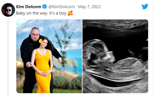 Kim Dotcom's In-House Lawyer - His Wife & Their New Baby 3