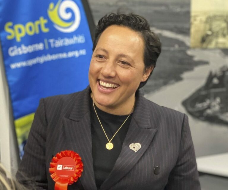 Kiri Allan – The Activist Justice Minister And Her Power Lawyer Connections