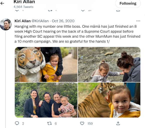 Kiri Allan - The Activist Justice Minister And Her Power Lawyer Connections 3