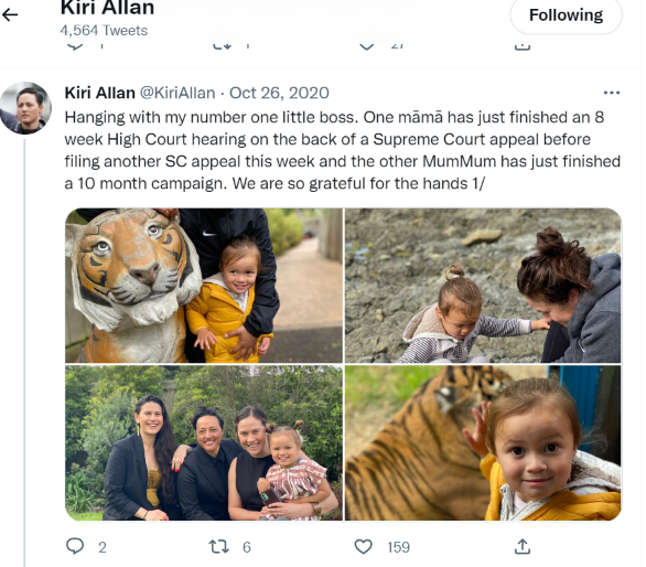 Kiri Allan - The Activist Justice Minister And Her Power Lawyer Connections