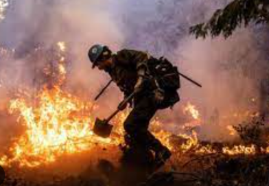 The PG&E Lawsuit on the Mosquito Wildfire: An Overview…