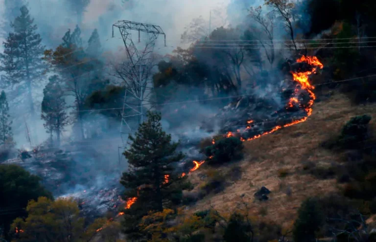 Pge wildfire damages