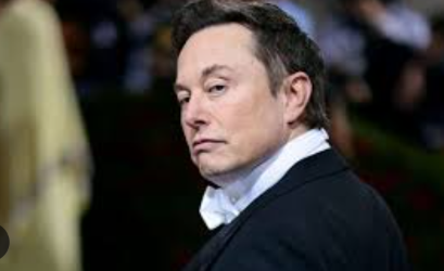 Elon musk lawfuel