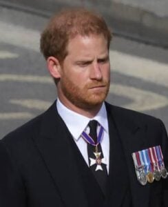 Princeharry1