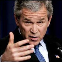 Bush