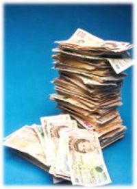 Cash
