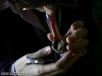 Marijuana