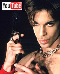 Princetube300